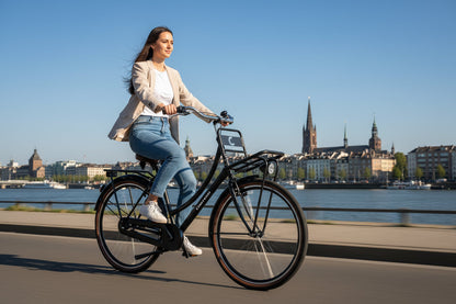 Cargo Transportfiets 28 inch Mat-zwart