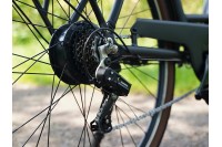 Rivena Daily D7 Elektrische Damesfiets