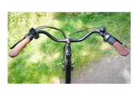Rivena Daily D7 Elektrische Damesfiets