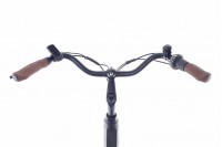Rivena Daily D7 Elektrische Damesfiets