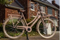 Spirit Transporter 6-Speed Damesfiets Zalm