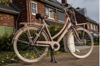 Spirit Transporter 6-Speed Damesfiets Zalm