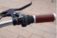 Valenti X5 Elektrische Damesfiets Zwart