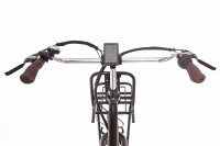 Rivena Elektrische Transportfiets 7 versnellingen