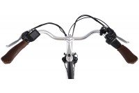 Vogue Basic Elektrische Fiets N3 28 inch Zwart Bruin