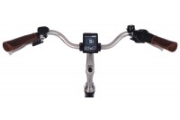 Vogue Basic Elektrische Fiets N7 28 inch Zwart-Bruin