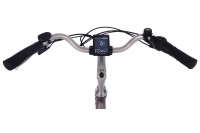 Vogue Basic Elektrische Fiets N7 28 inch Grijs
